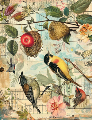 Amazon How Does Your Garden Grow - Paperback