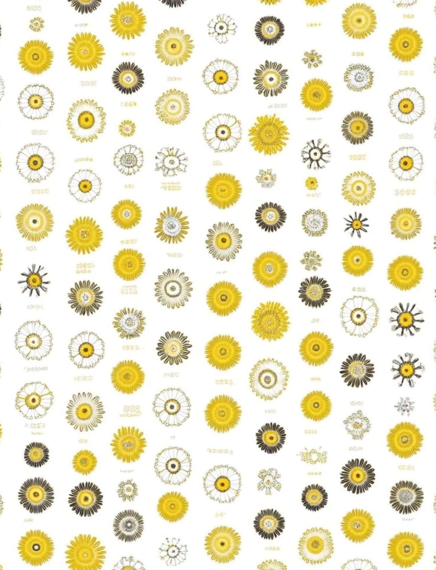 Collage Soup Back That Art Up (Paperback) A Collage & Journal Backgrounds Book