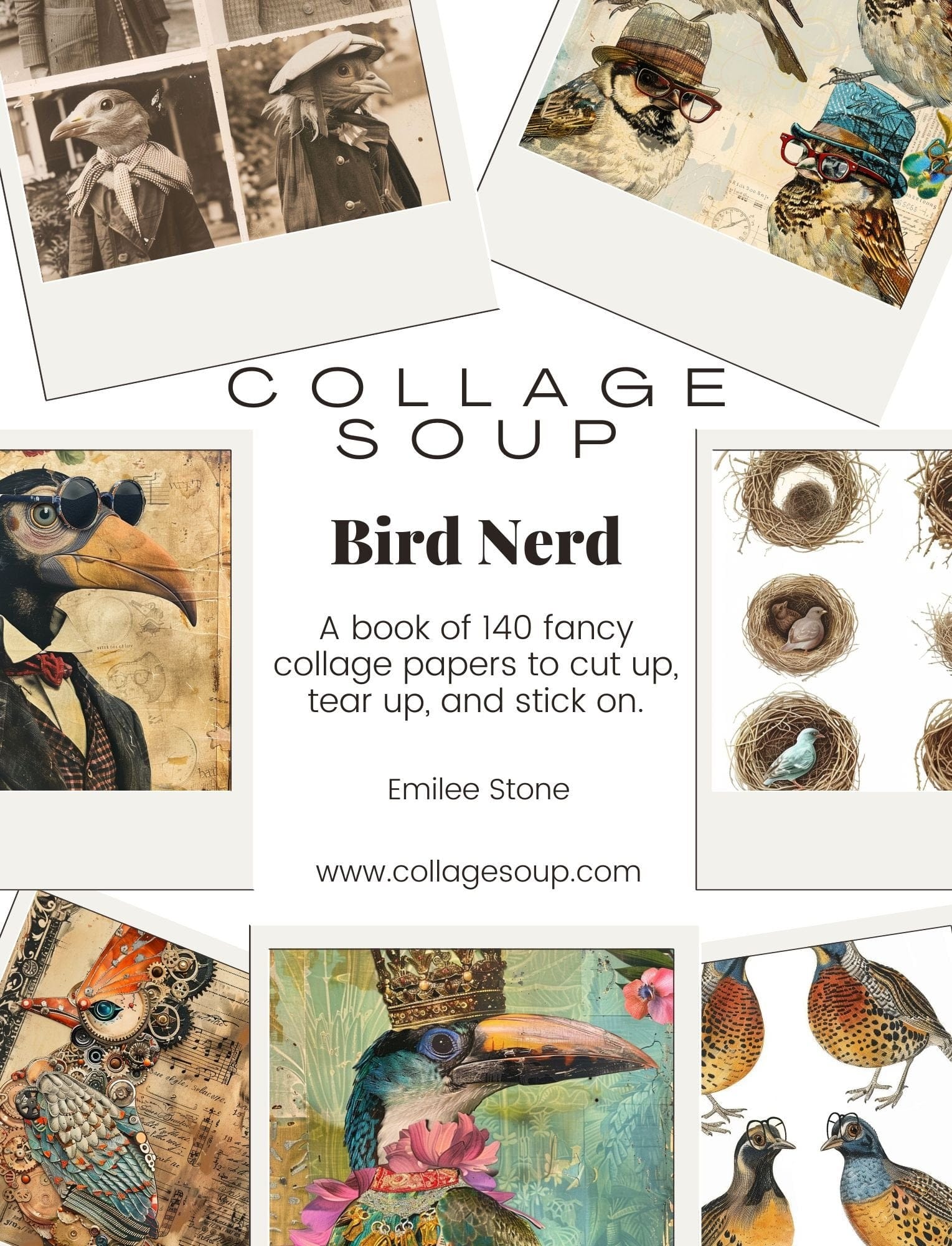 Collage Soup Bird Nerd: 140 Fancy Collage Papers of Stylishly Dressed Birds