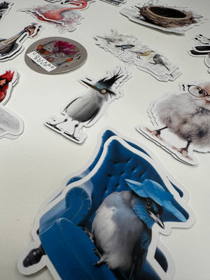 Collage Soup Bird Nerd Bites – Mini Bird Collage Cut-Outs for Journals & Crafts (24 pieces)