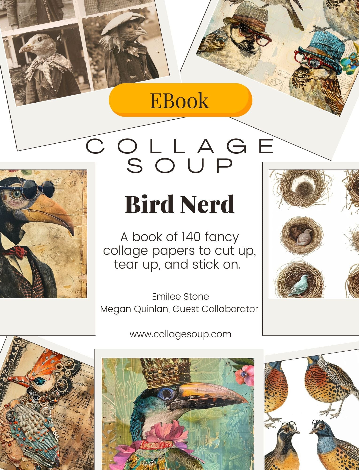 Collage Soup Bird Nerd (eBook) Printable Quirky Birds Collage Sheets – Digital Download