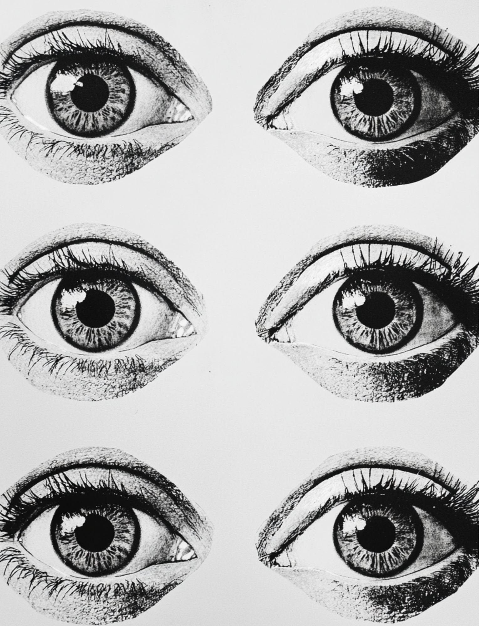 Collage Soup Black House White Market – A Special Edition Collage eBook