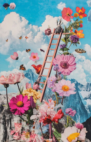 Collage Soup Eclectica II – Scrap Pack | 50 Translucent Vellum Sheets of Whimsical & Weird Collage Papers