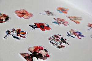 Collage Soup Floral 101 Paper Bites: 24 Vibrant Pre-Cut Flower Shapes for Collage & Card-Making 110 lb. Paper 12 Designs