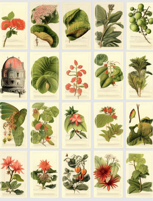 Collage Soup Flower Power - 3rd Edition eBook