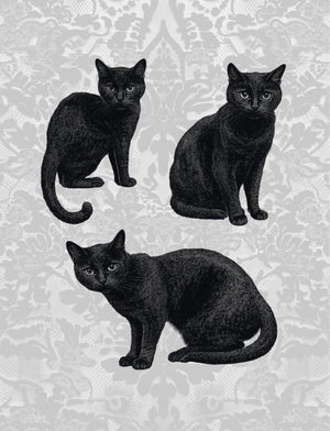 Collage Soup Hexy & I Know It (Paperback) Halloween & Goth Collage Book – 90+ Pages