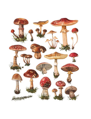 Collage Soup Hodgins Botany Journal (eBook) Vintage & Imaginative Botanical Pages – 122 Pages