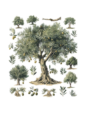 Collage Soup Hodgins Botany Journal (eBook) Vintage & Imaginative Botanical Pages – 122 Pages