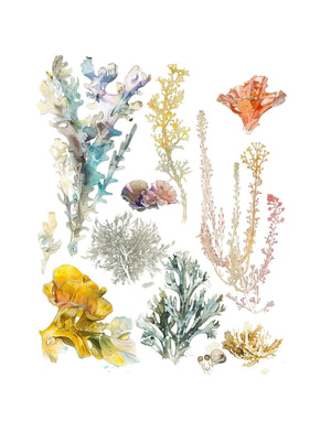 Collage Soup Hodgins Botany Journal (eBook) Vintage & Imaginative Botanical Pages – 122 Pages