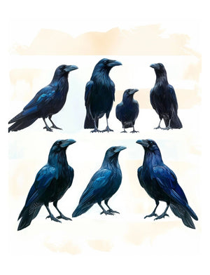 Collage Soup Put a Bird On It (Paperback) 80-Page Collage Book of Birds