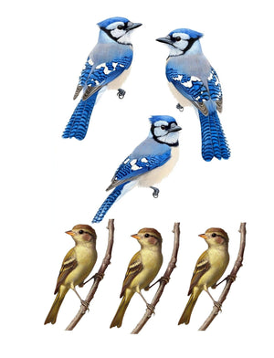 Collage Soup Put a Bird On It (Paperback) 80-Page Collage Book of Birds