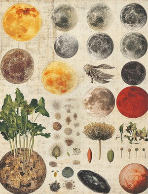 Collage Soup Quotilicious (eBook) | Digital Quote & Collage Inspiration Book for Artists & Journalers