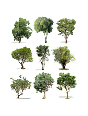 Collage Soup She Who Journeys Within – A Visual Grimoire for Collage & Ritual (Paperback, 100 Pages)