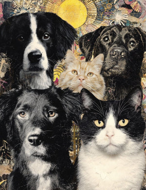 Collage Soup She Who Journeys Within – A Visual Grimoire for Collage & Ritual (Paperback, 100 Pages)