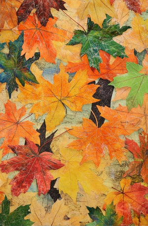 Collage Soup Still Becoming | eBook | Collage Art for Seasons and Growth Still