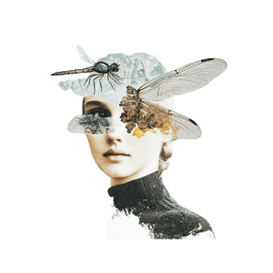 Collage Soup The Three Dunces – Chunky 300 lb Paper Bites for Junk Journals & Mixed Media (24 pcs)