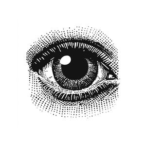 Collage Soup The Three Dunces – Chunky 300 lb Paper Bites for Junk Journals & Mixed Media (24 pcs)