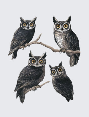 Collage Soup Threads Of The Ancients | Paperback | Indigenous-inspired collage papers for journals & mixed media