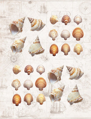 Collage Soup Where the Curious Go: A soulful collection of antique photos, figurines, and layered mystery – 90 Pages