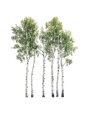 Collage Soup Woodland Wonders (eBook) Forest-Themed Collage Art for Creative Projects – 125 Pages