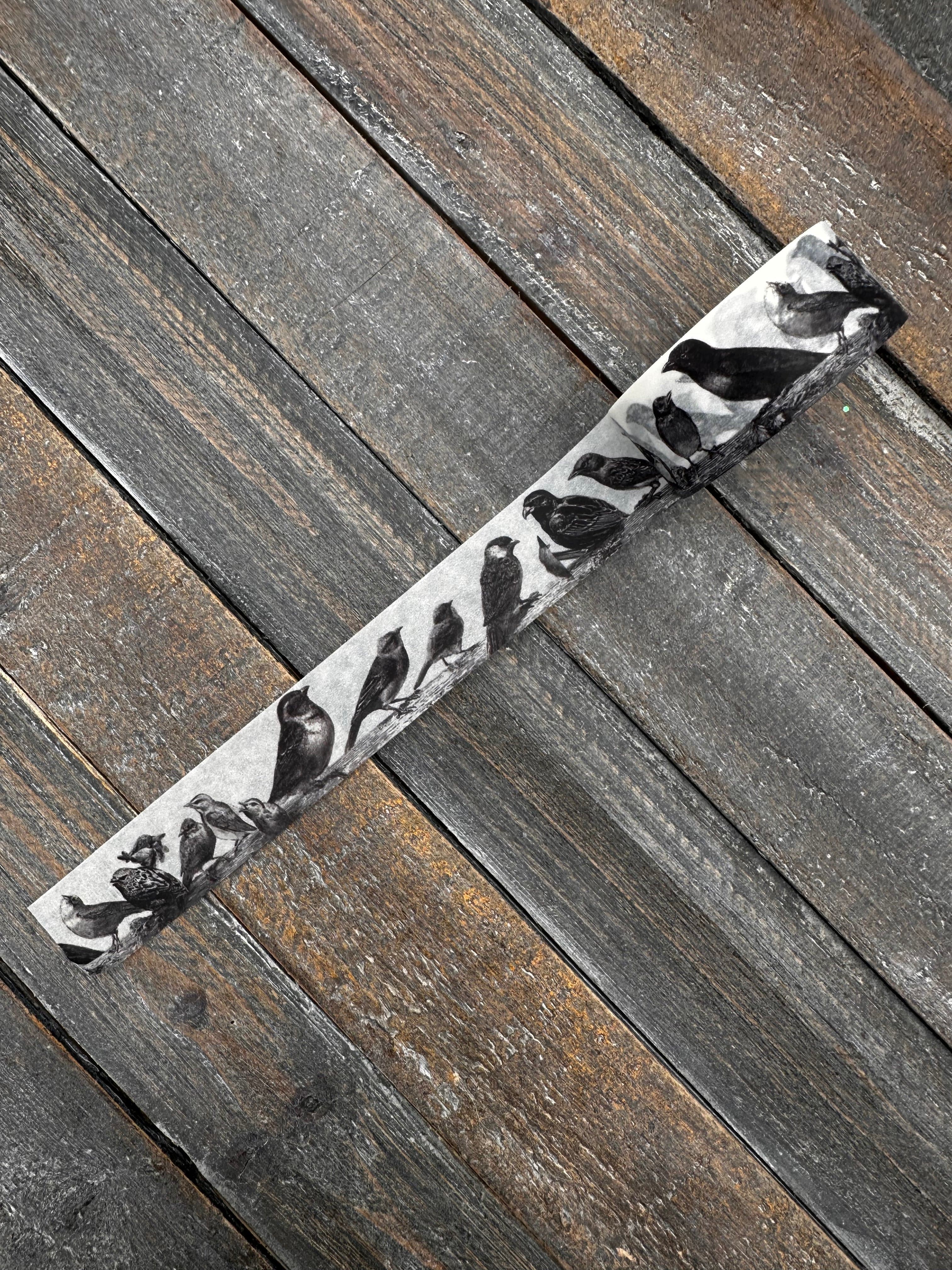 Collage Soup Birds on a Limb Washi Tape | Decorative Tape | Vintage Bird Illustration