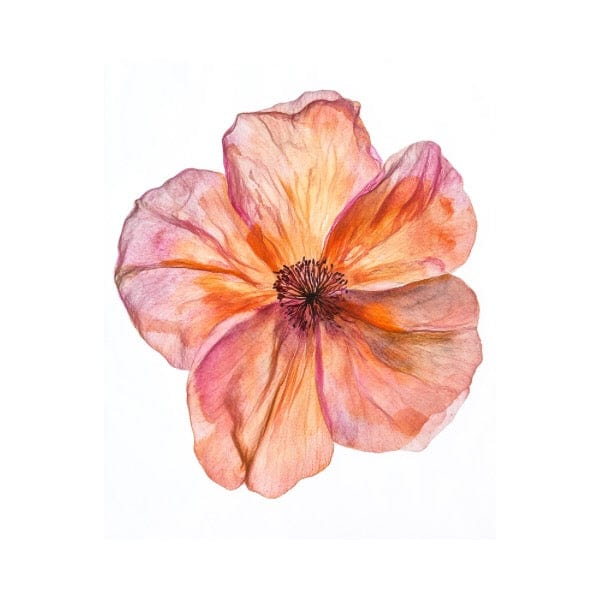 Collage Soup Floral 101 Paper Bites: 24 Vibrant Pre-Cut Flower Shapes for Collage & Card-Making 110 lb. Paper 12 Designs