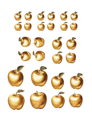 Collage Soup Goddess, Please (Paperback) – Mythic Femininity & Seashell Aesthetic Collage Pages