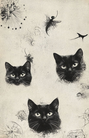 Collage Soup Halloween Spooky Bougie – Translucent Scrap Pack | 50 Vellum Sheets for Collage, Journals & Mixed Media