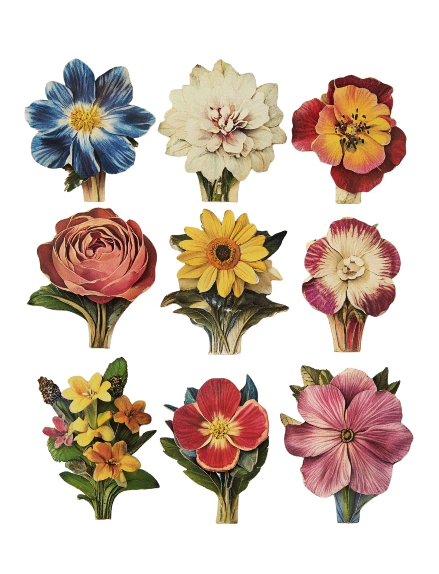 Collage Soup Hop To It eBook