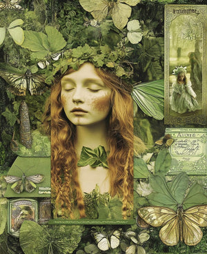 Collage Soup Luck o’ the Irish eBook