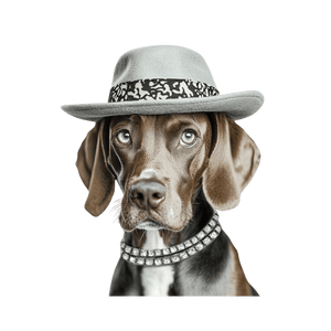 Collage Soup Proper & Peculiar | Paper Bites