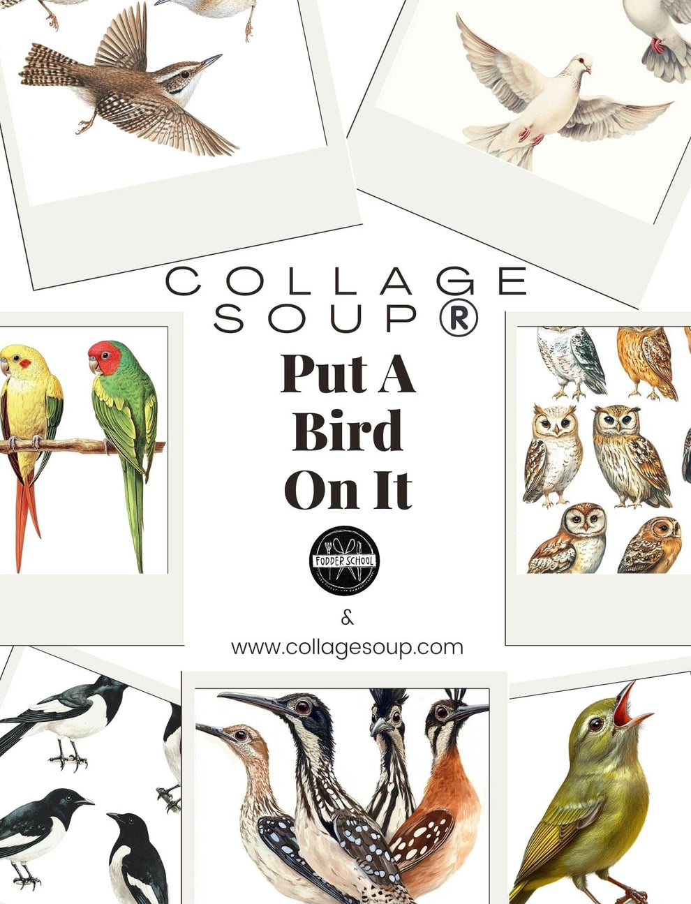 Put a Bird On It (eBook) • Printable Birds for Journals &amp; Fodder Creat – Collage Soup