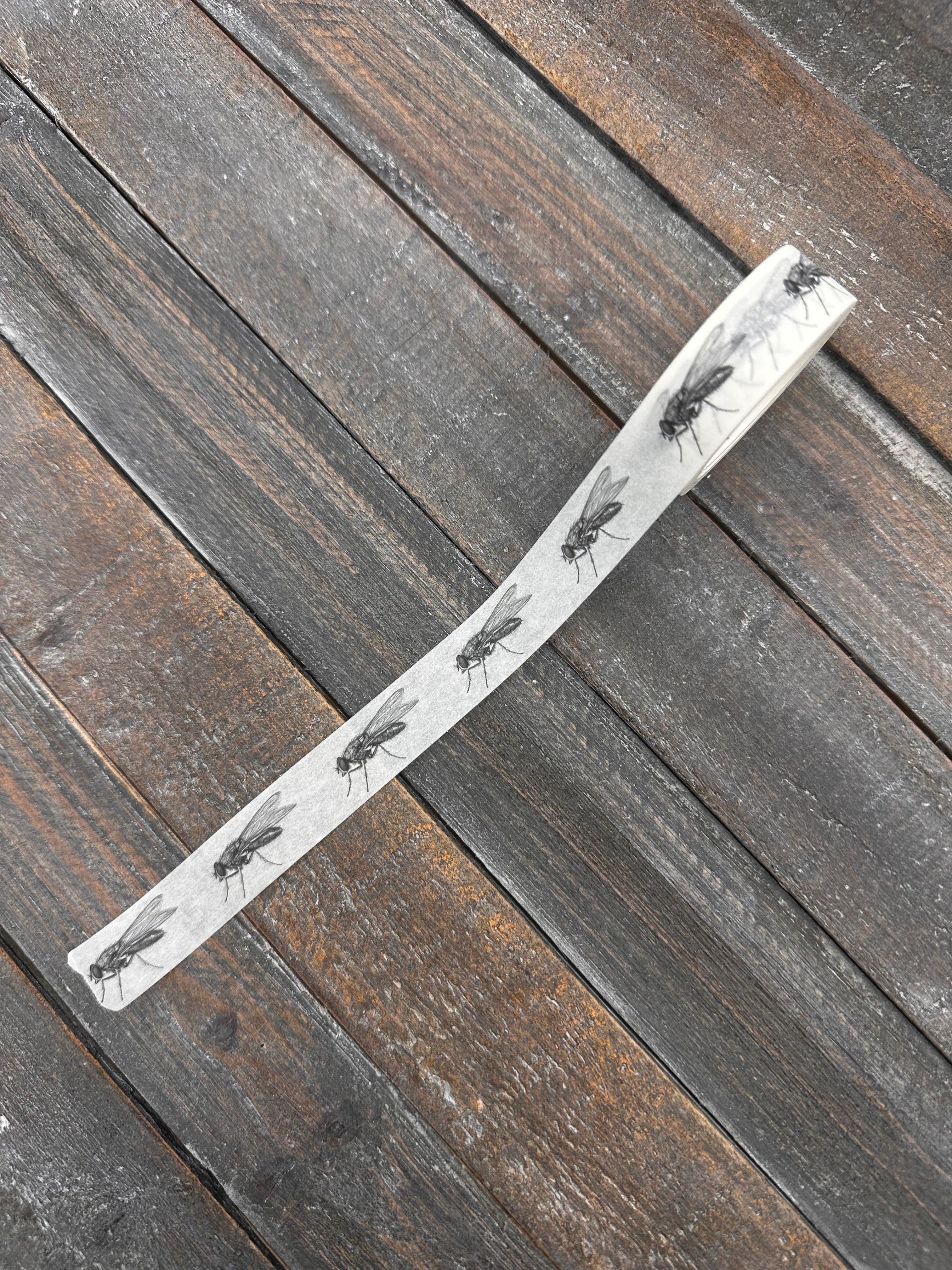 Collage Soup Still Life with Flies | Washi Tape