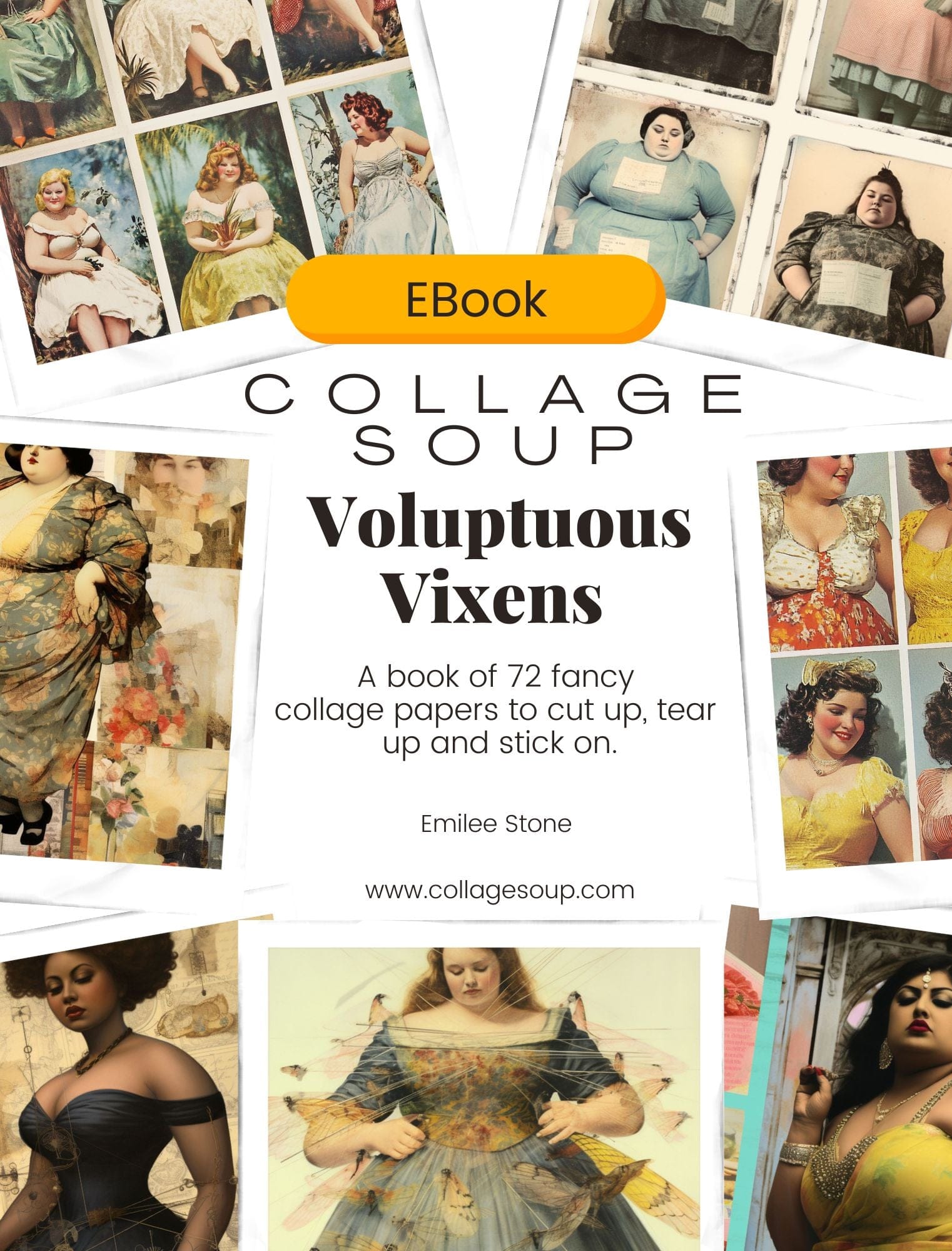 Collage Soup Voluptuous Vixens eBook