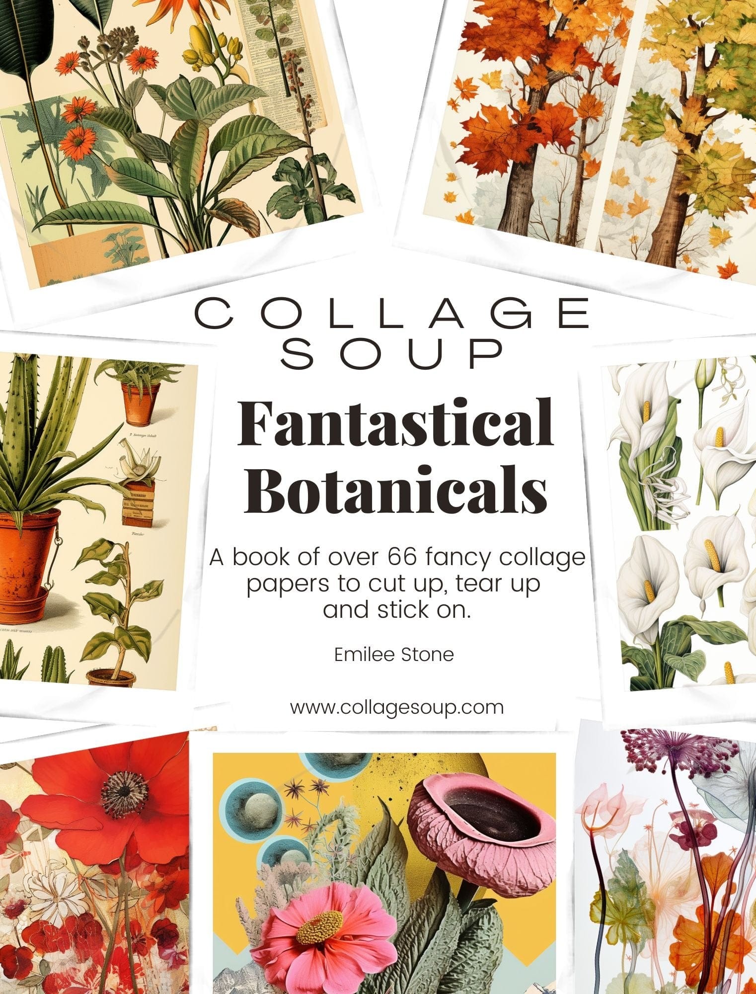 vendor-unknown Fantastical Botanicals - eBook